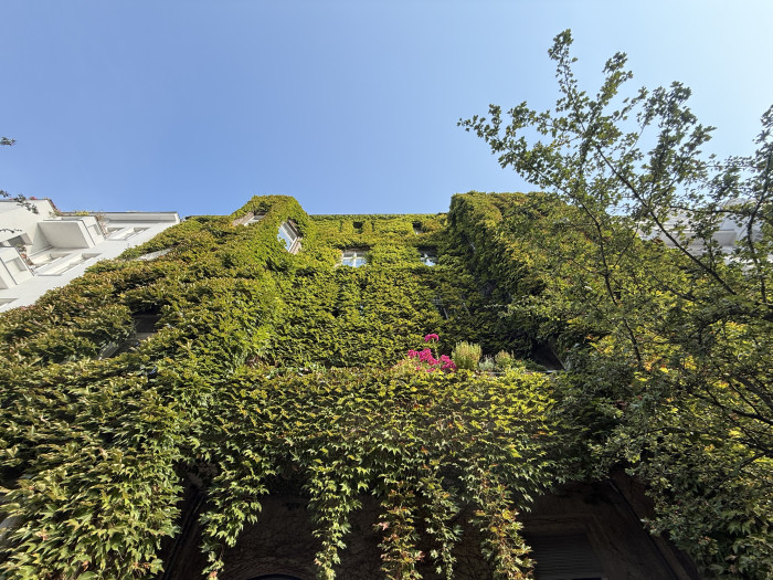 Die Superweitwinkelkamera des iPhone 16 Pro Max hat nun 48 Megapixel. (Bild: Tobias Költzsch/Golem.de)